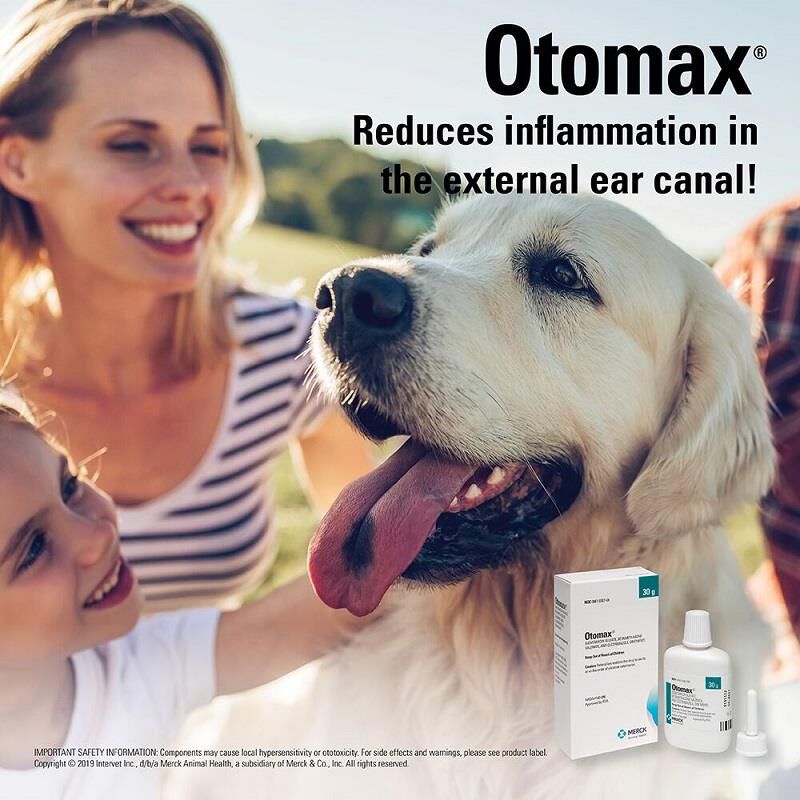 Otomax shop for dogs