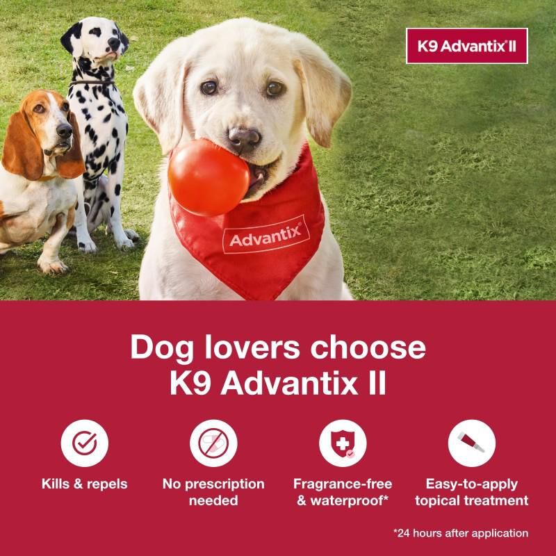 K9 advantix 2 for dogs best sale