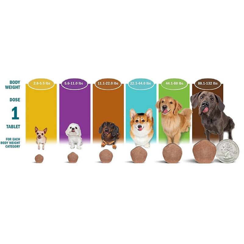 Simparica purple deals for dogs