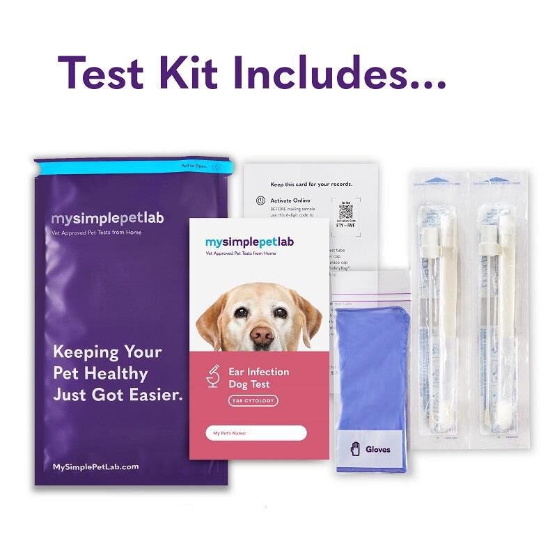 Pets at home ear drops for dogs best sale