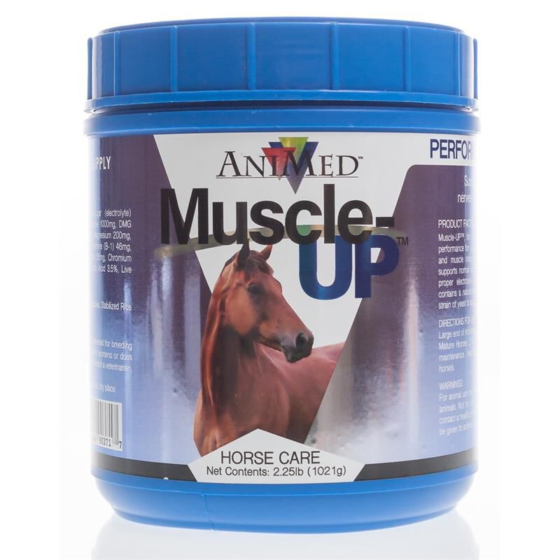 Muscle UP Powder 2.25 Lbs Buy Muscle UP supplement for horses