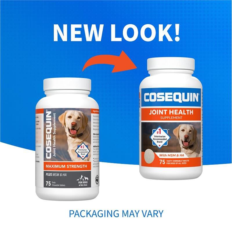 Cosequin DS Plus MSM HA Chewable Tablets for Dogs 75 ct