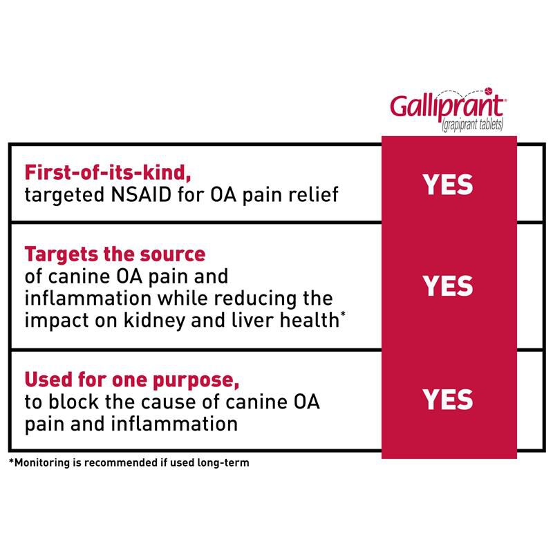 Galliprant 60 hot sale mg tablets