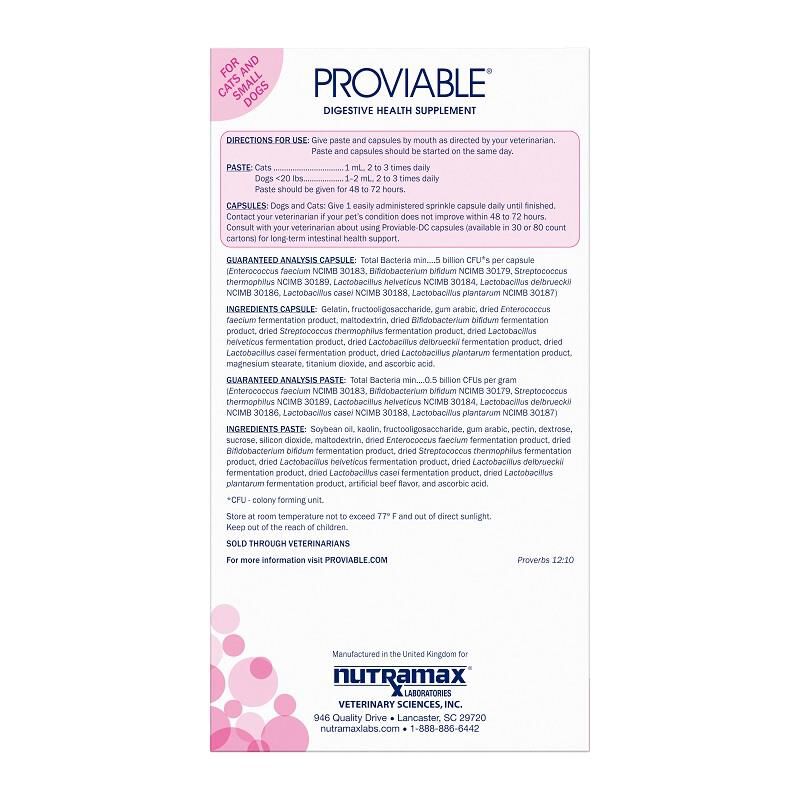 Proviable KP Paste For Dogs Cats Probiotics Allivet