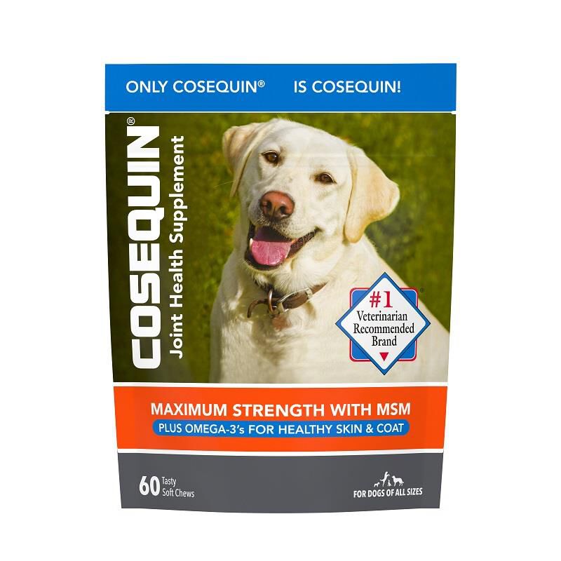 Clonidine dog aggression fashion