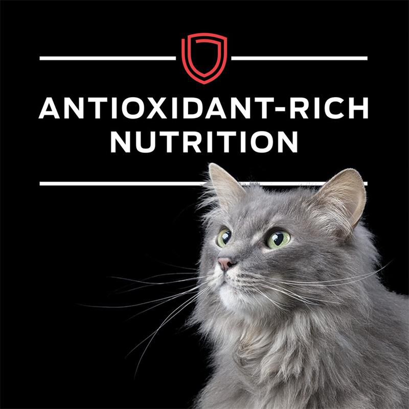 Get Purina Cat Food En at Affordable Price Purina Dietetic