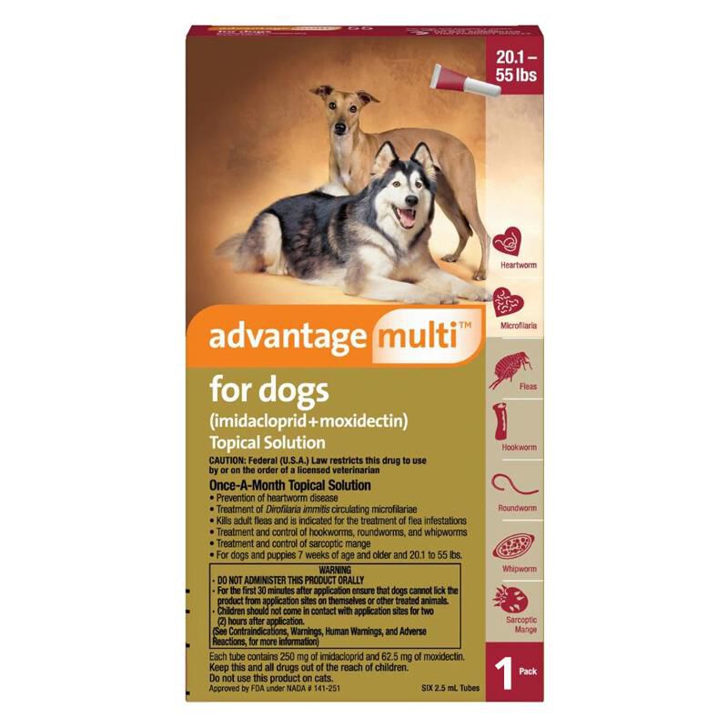 Advantage multi hot sale plus for dogs