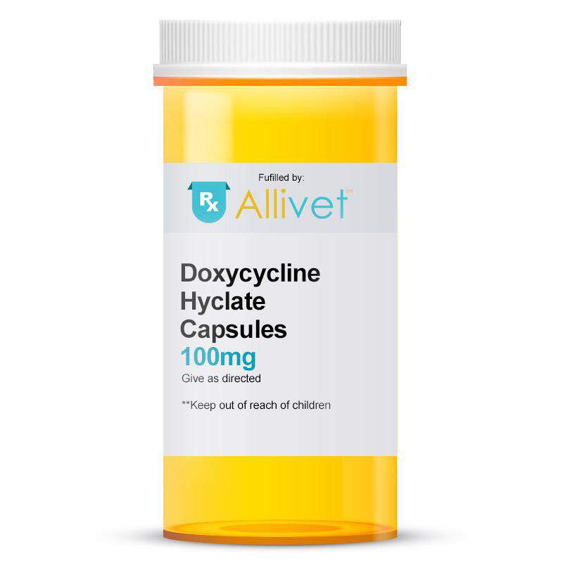 Buy Doxycycline Hyclate 100 Mg Capsule For Dogs And Cats