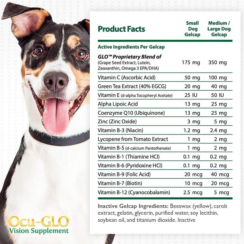 Ocu glo diabetic dog hotsell