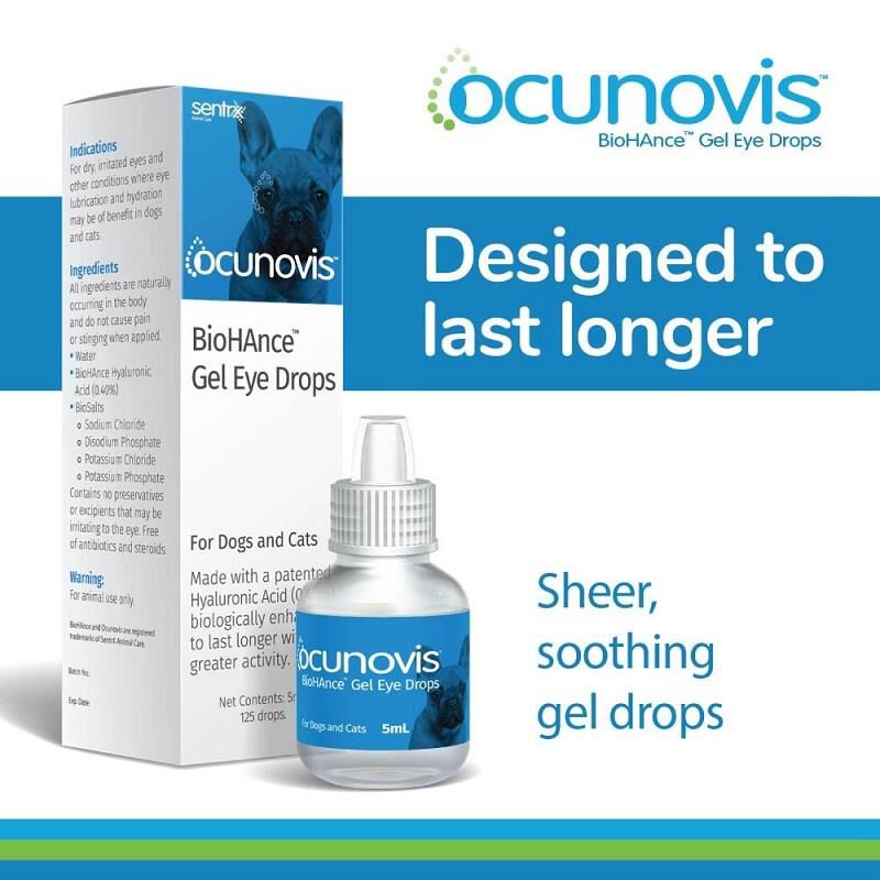 Hyaluronic acid eye shop drops for dogs