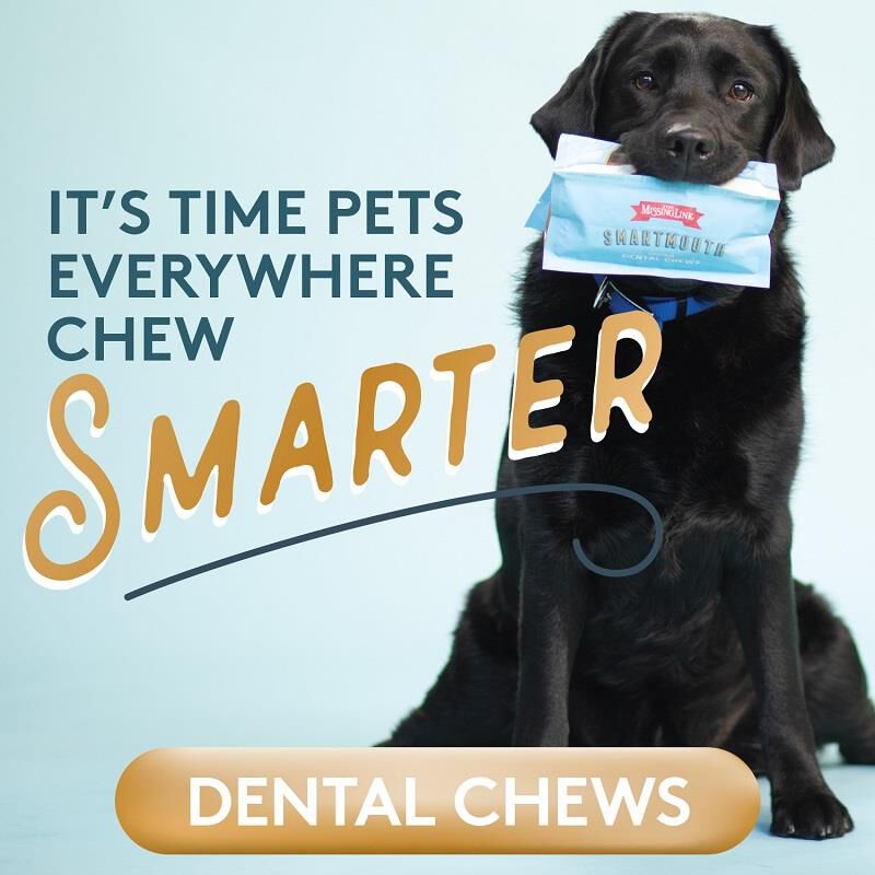 Missing link best sale dental chews