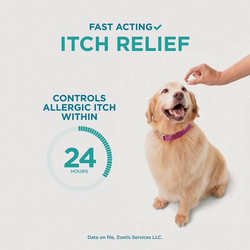 Allergy meds for dogs apoquel best sale