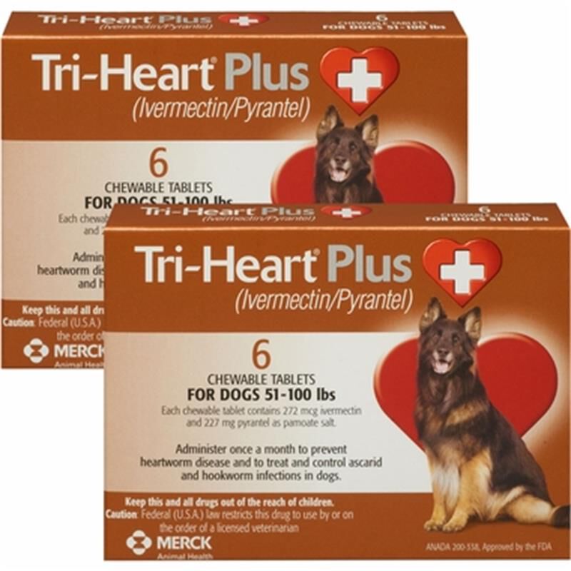 Tri heart shop for dogs