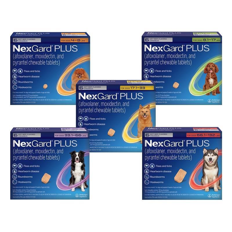 Nexgard fashion flea chewables