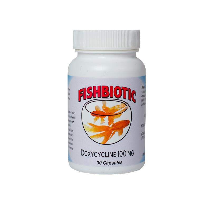 can dogs take fishbiotics amoxicillin 500mg