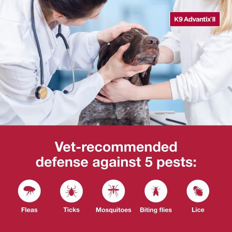 Buy K9 Advantix II for Dogs Flea and Tick Allivet