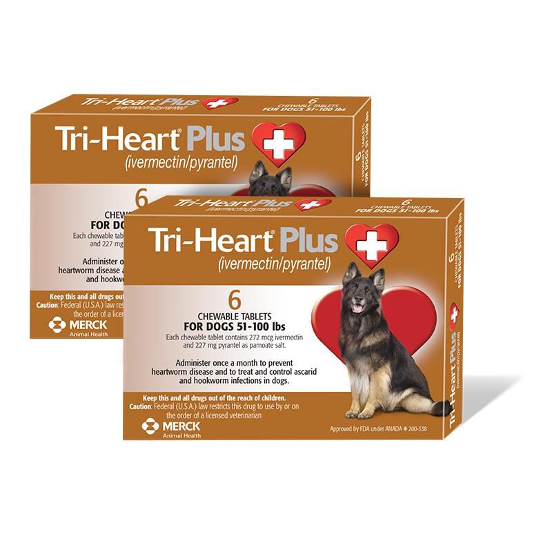 Allivet fashion pet meds