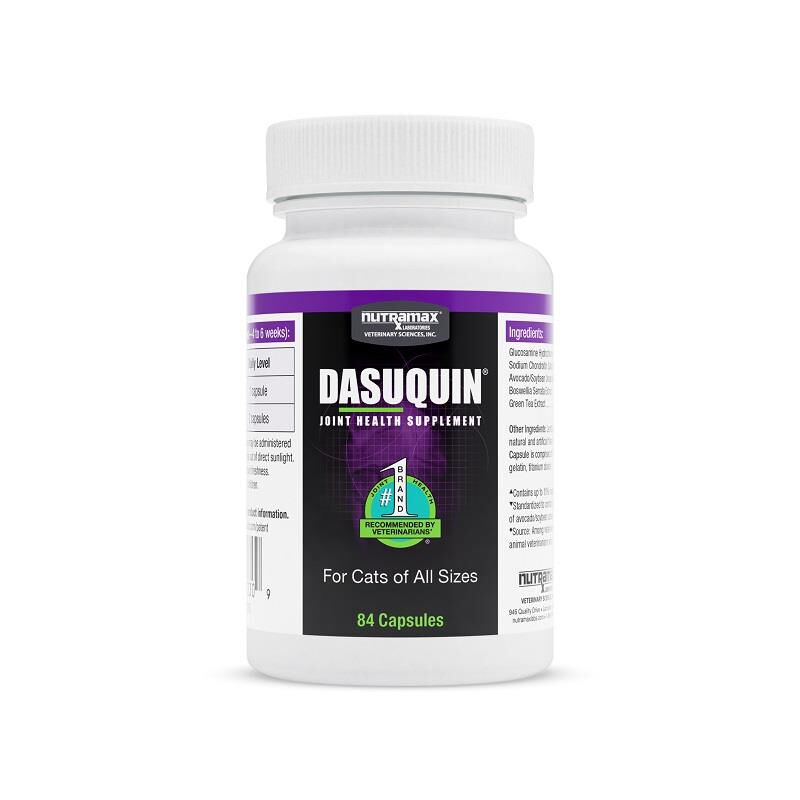 Dasuquin advanced chews for cats best sale