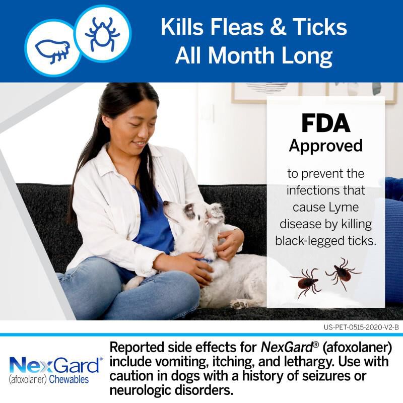 Nexgard Chewables for Dogs Flea Tick Best Prices Allivet