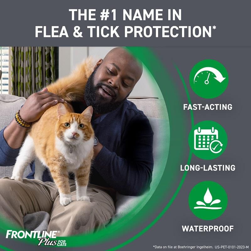 Cheapest frontline sale plus for cats