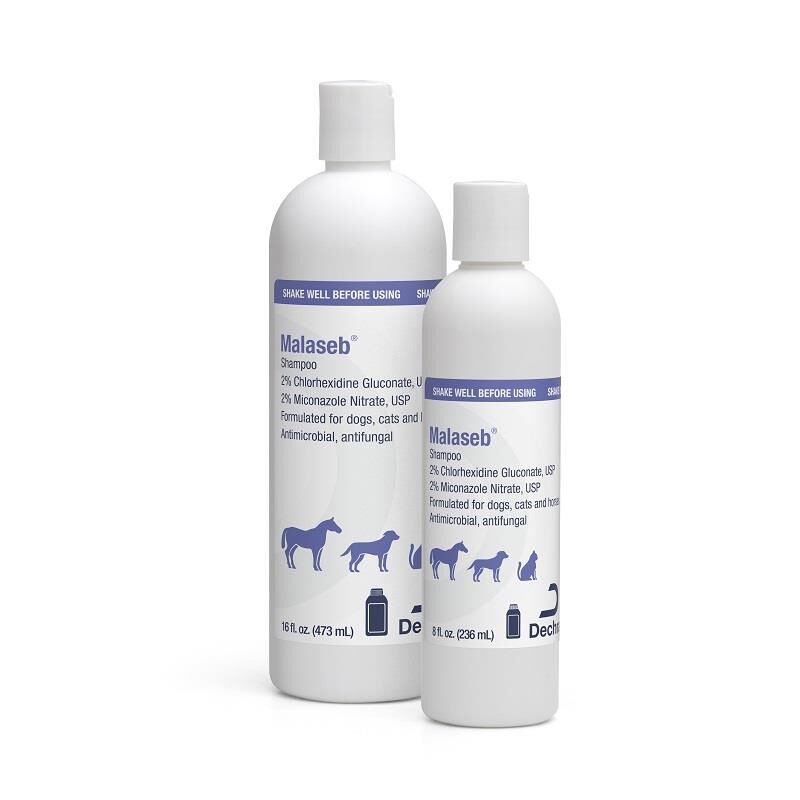 Malaket shampoo for dogs best sale