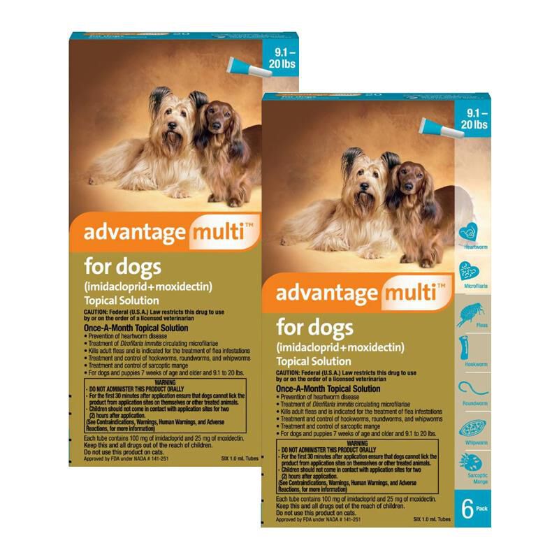 Advantage hot sale heartworm treatment