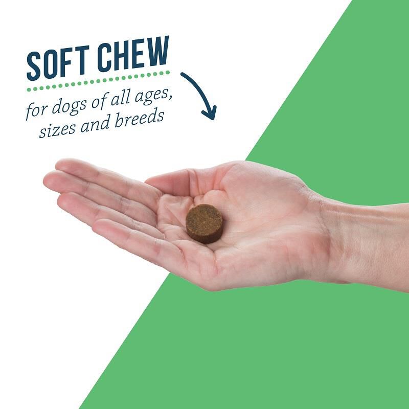 Lactoquil soft chews hotsell