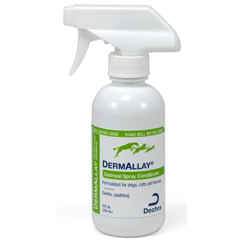 Dermallay dog sale shampoo