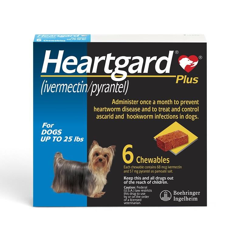 Nexgard and 2025 heartgard for dogs