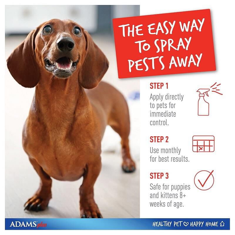 Adams sales pet spray