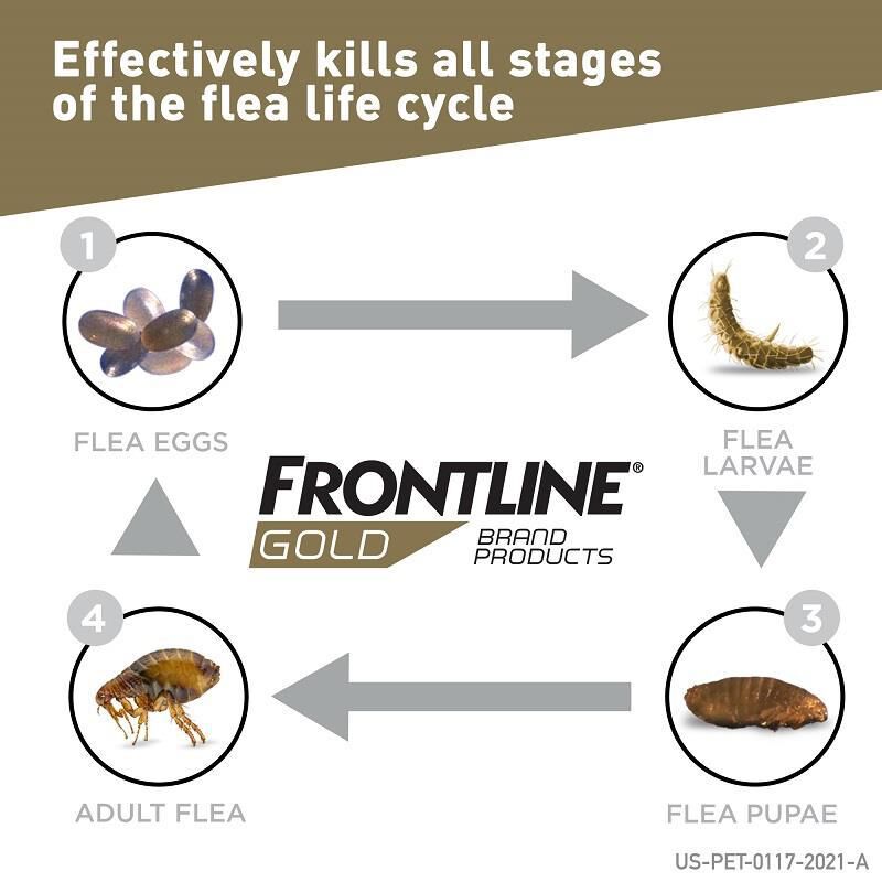 Frontline gold clearance guarantee