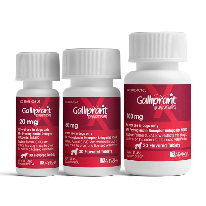 Galliprant 2024 cheapest price