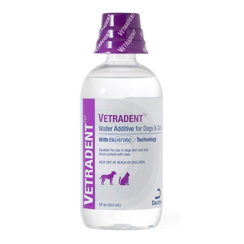 Buy Vetradent Water Additive For Dogs | Allivet
