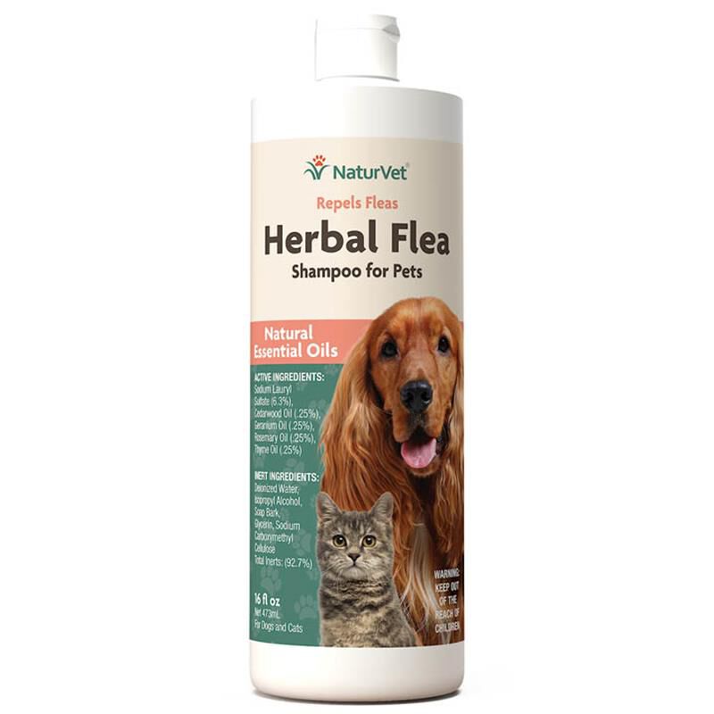 Pet flea shampoo hotsell