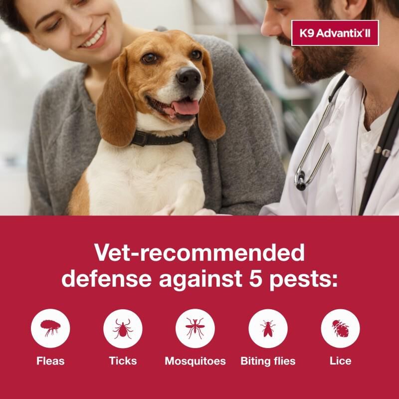 Advantix fashion for dogs side effects