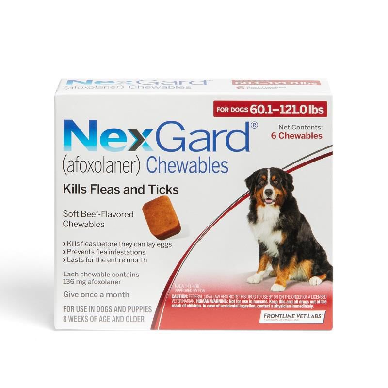 Flea pill hotsell for dogs