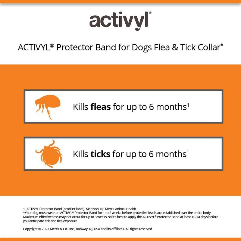 Activyl Flea Tick Protector Band for Dogs