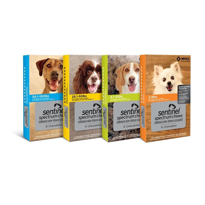 Sentinel Spectrum Chewables for Flea Control Allivet