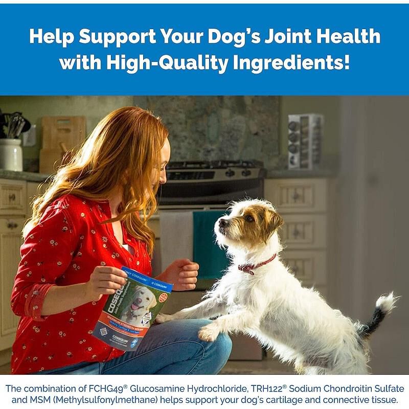 Cosequin Senior Maximum Strength Joint Health Supplement for Dogs 120 Soft Chews