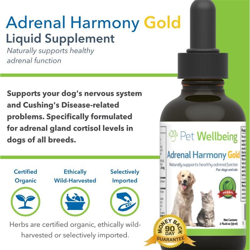 harmony supplement for dogs