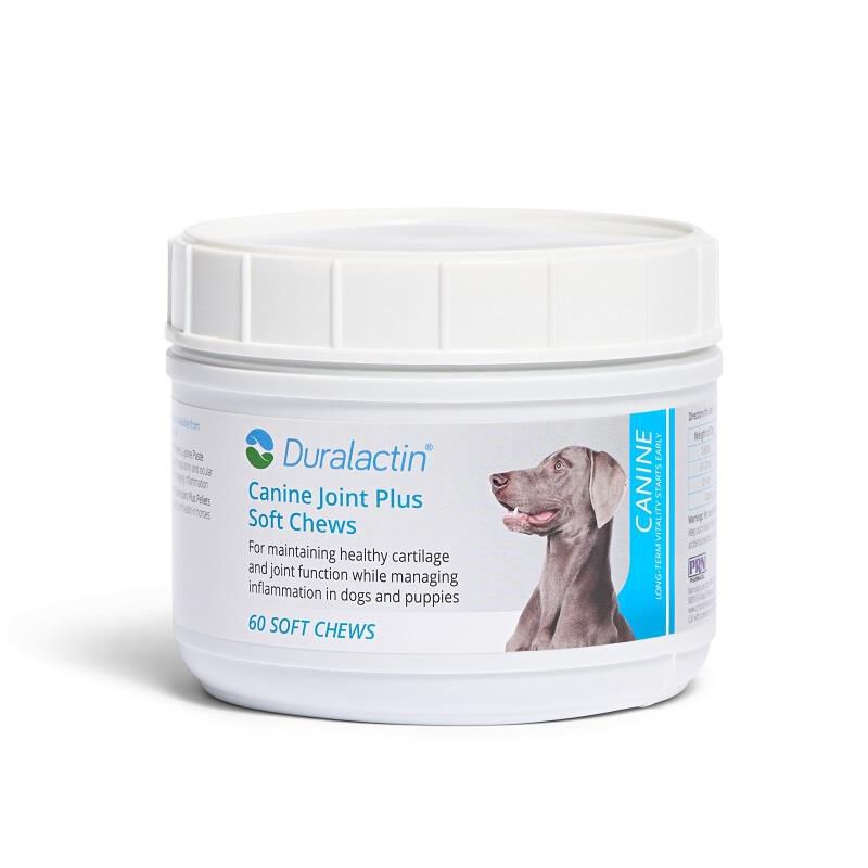 Shops duralactin canine