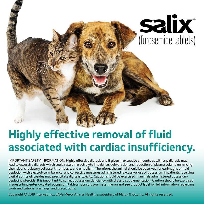 Furosemide alternatives 2024 for dogs