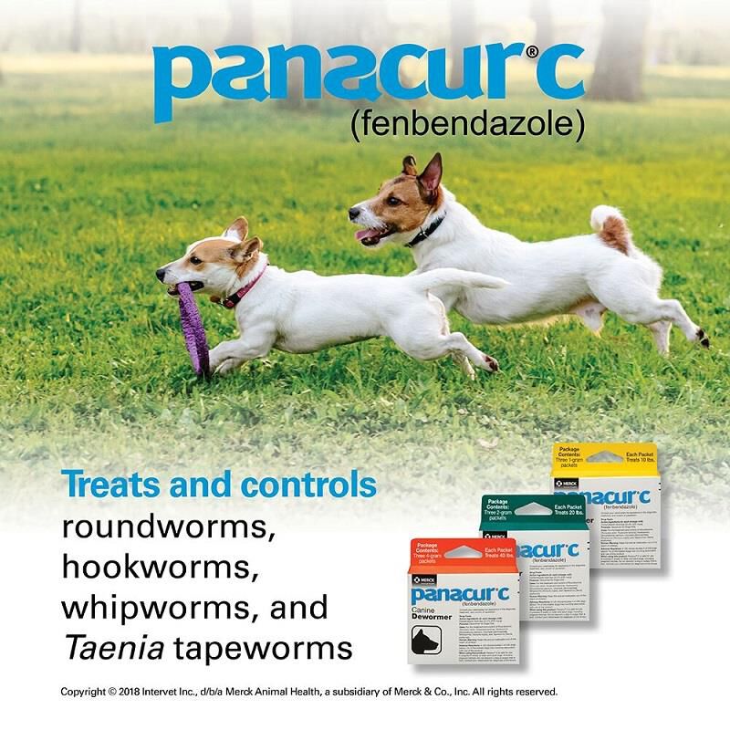 Panacur C Canine Dewormer for Dogs Allivet