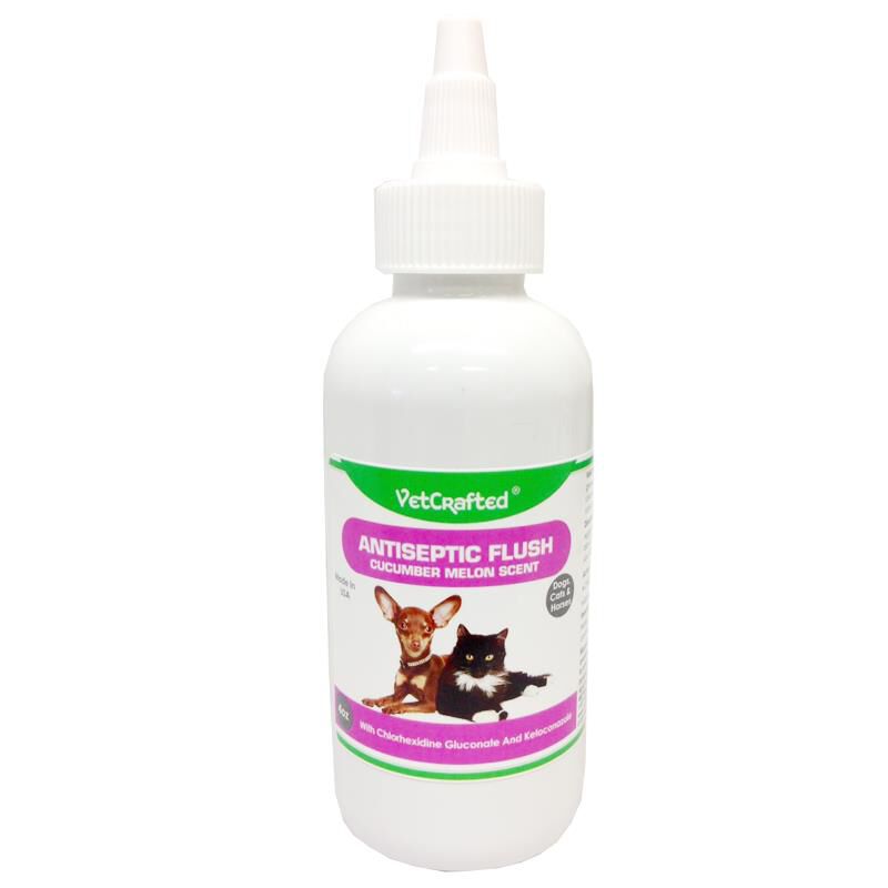 Dermabenss shampoo hotsell for dogs