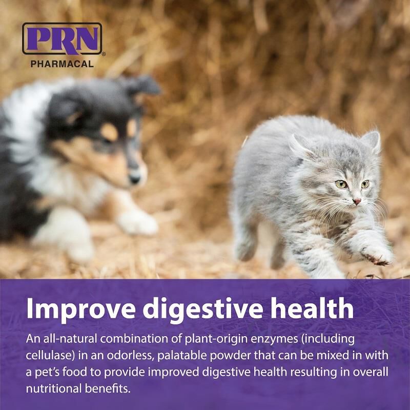 Prozyme digestive enzymes Buy Prozyme for cats and dogs