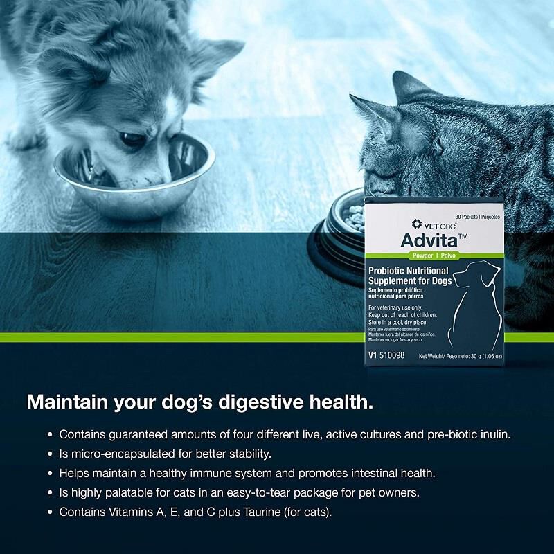 Advita Probiotic Nutritional Supplement for Dogs 30 packets