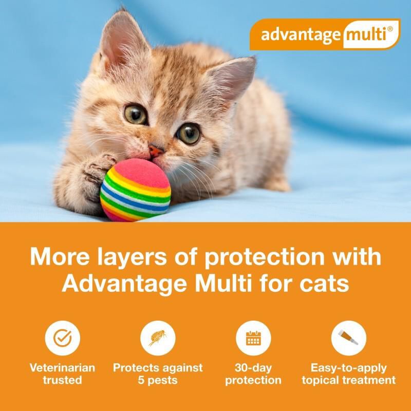 Advantage Multi for Cats Intestinal Parasites Prevention