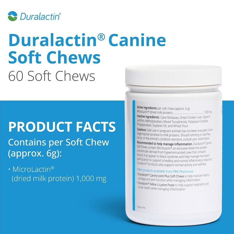 Duralactin Soft Chews for Dogs Inflammation Supplements Allivet