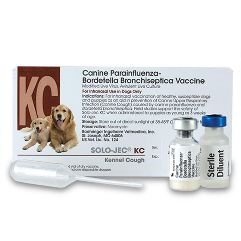 Intranasal vaccine hot sale for dogs