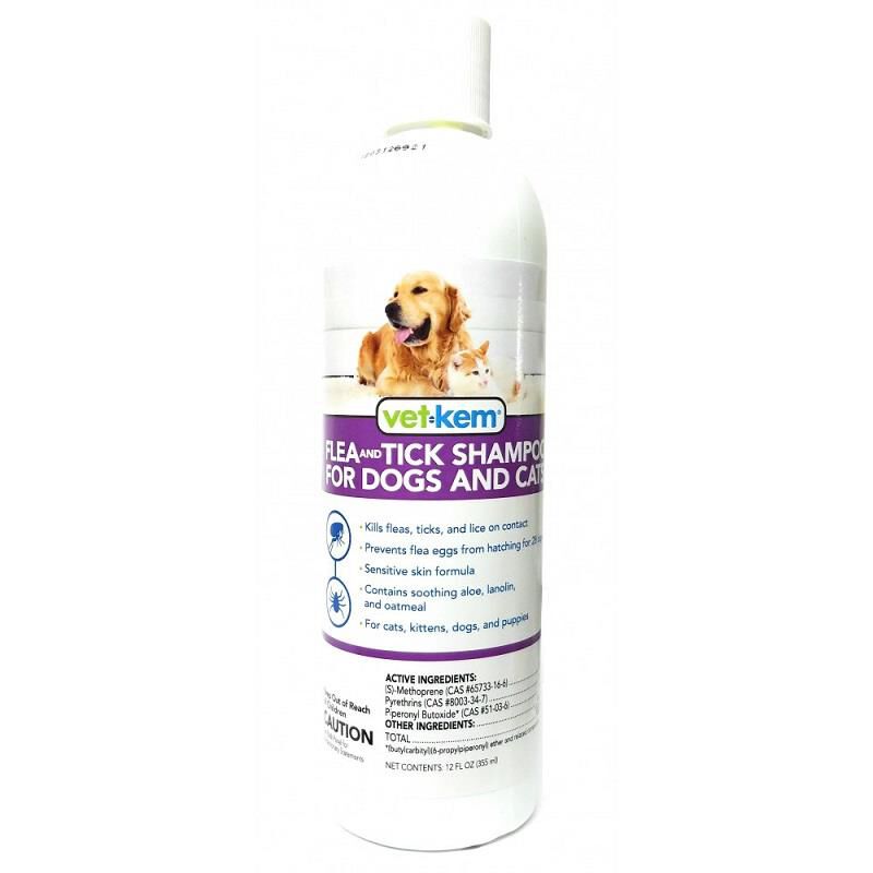 Dog 2025 lice shampoo